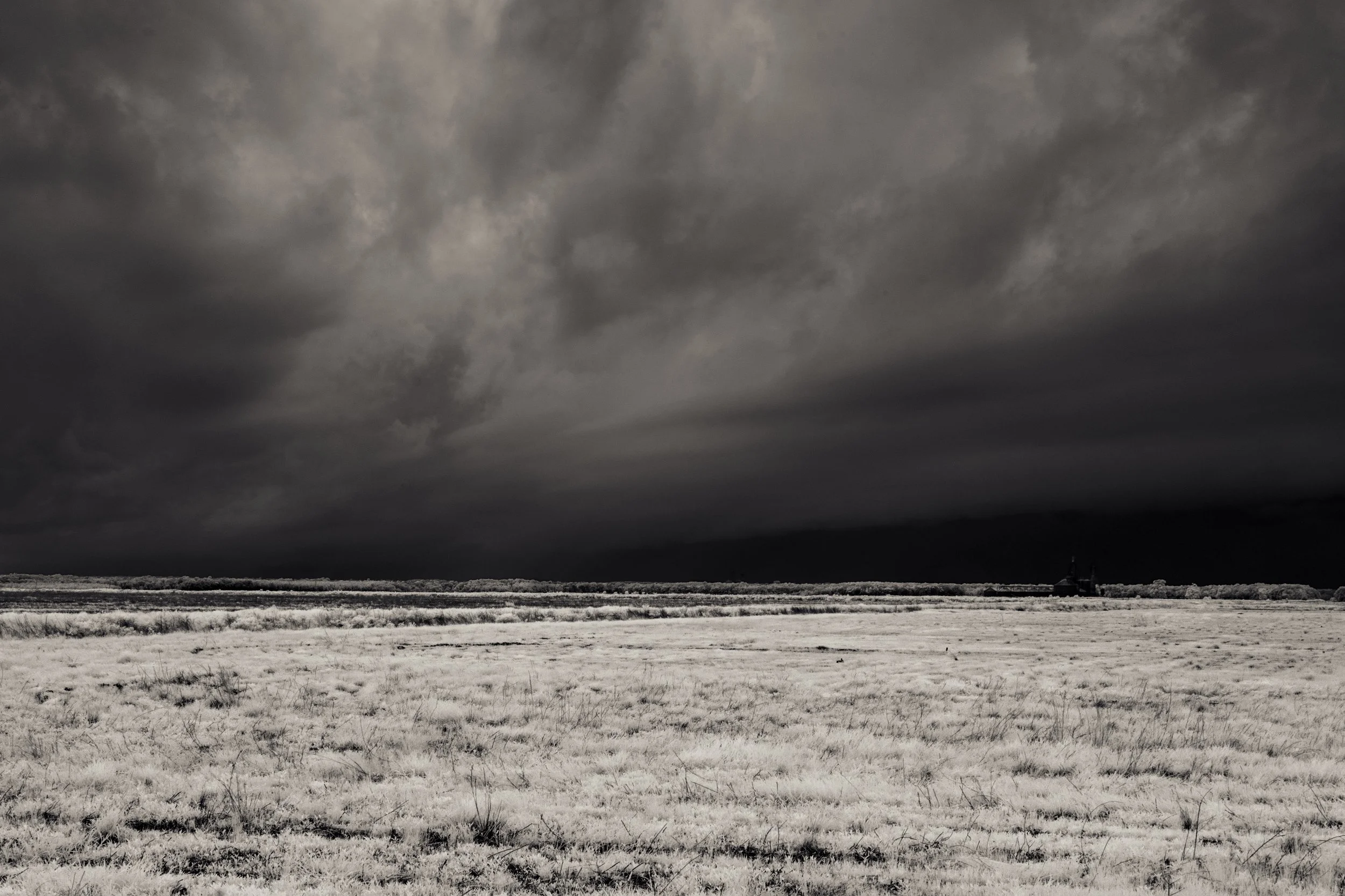 290_sRGB.jpg