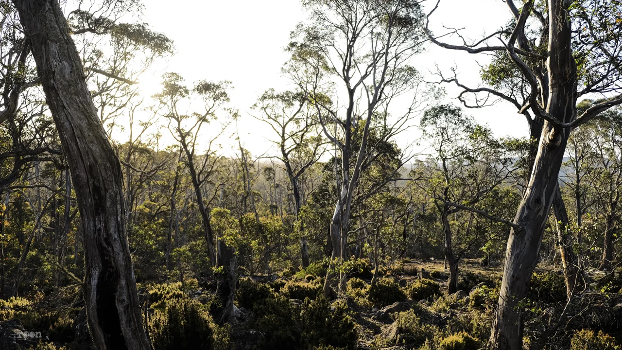 DSCF4751.jpg