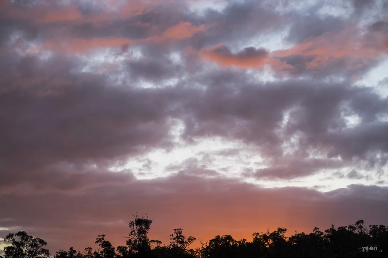 DSCF4921.jpg
