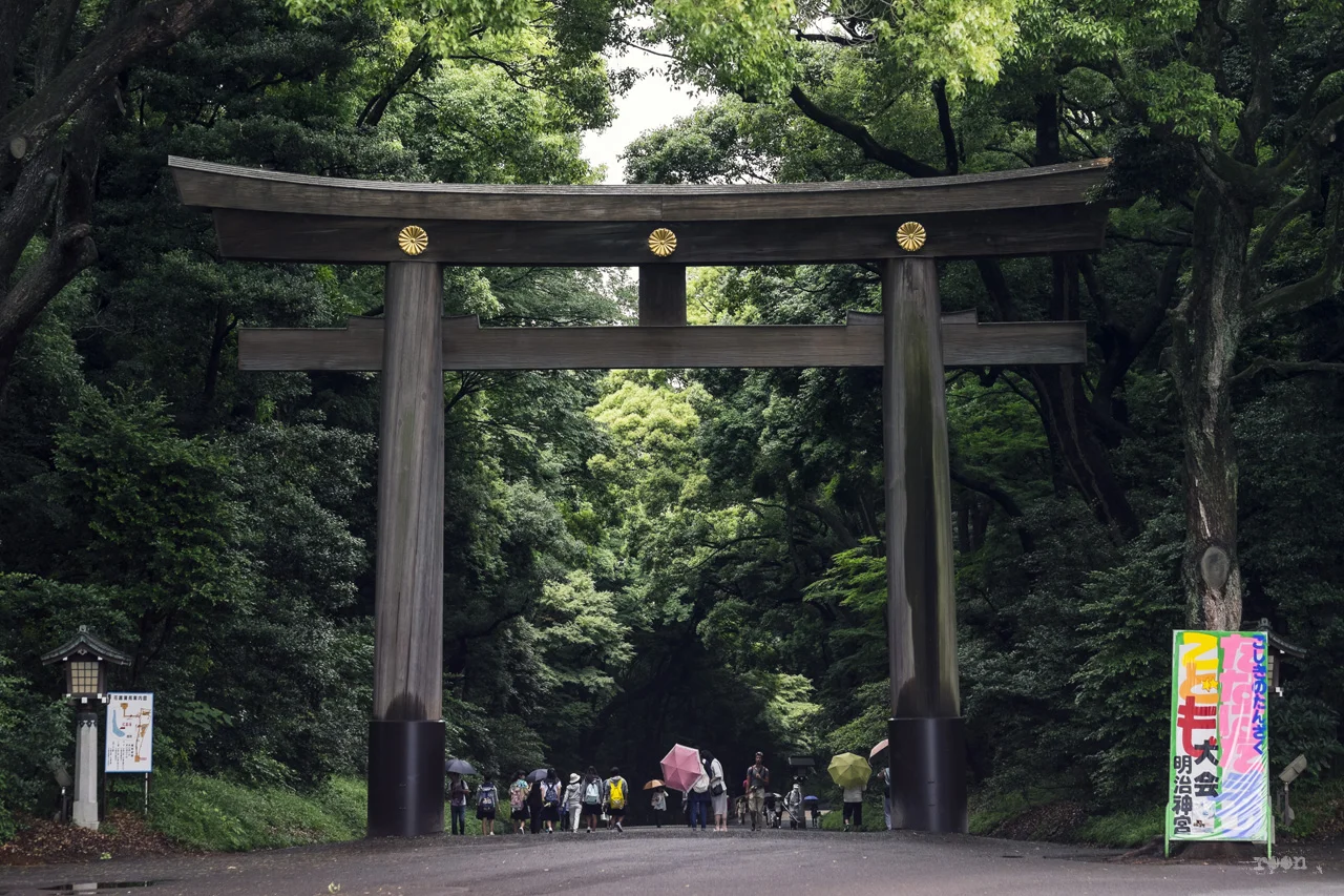DSCF6851.jpg