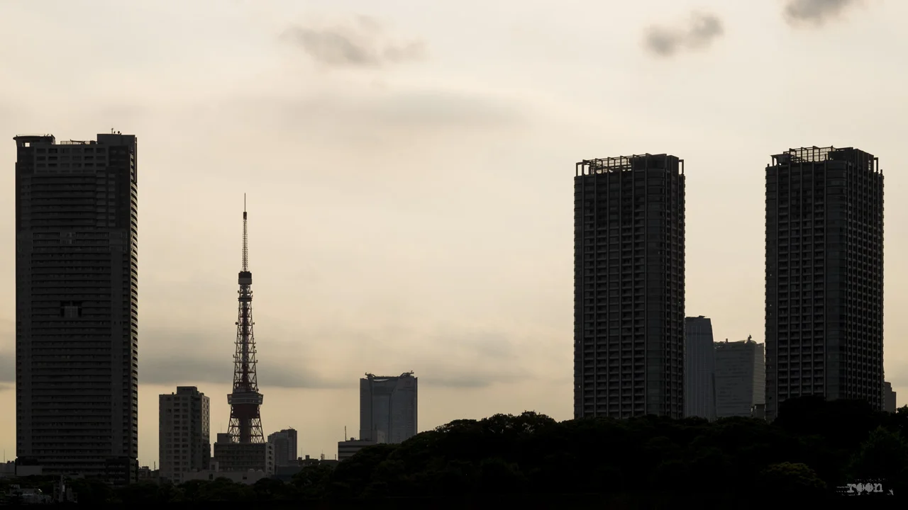 DSCF7037.jpg