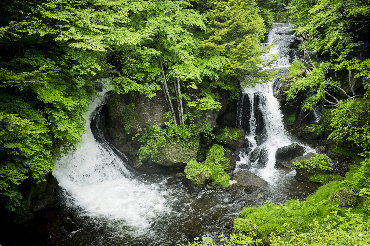 DSCF7228.jpg