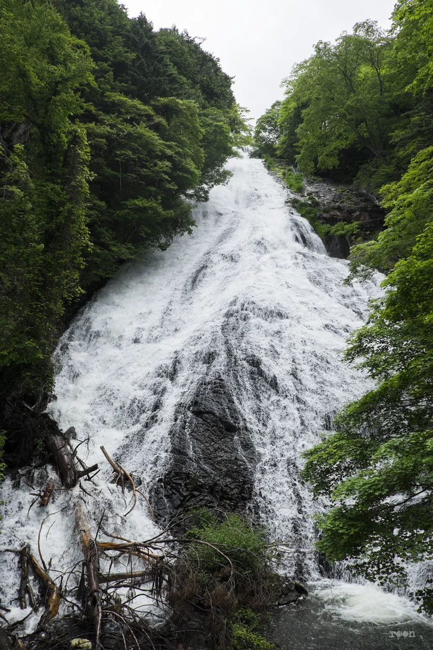 DSCF7335.jpg