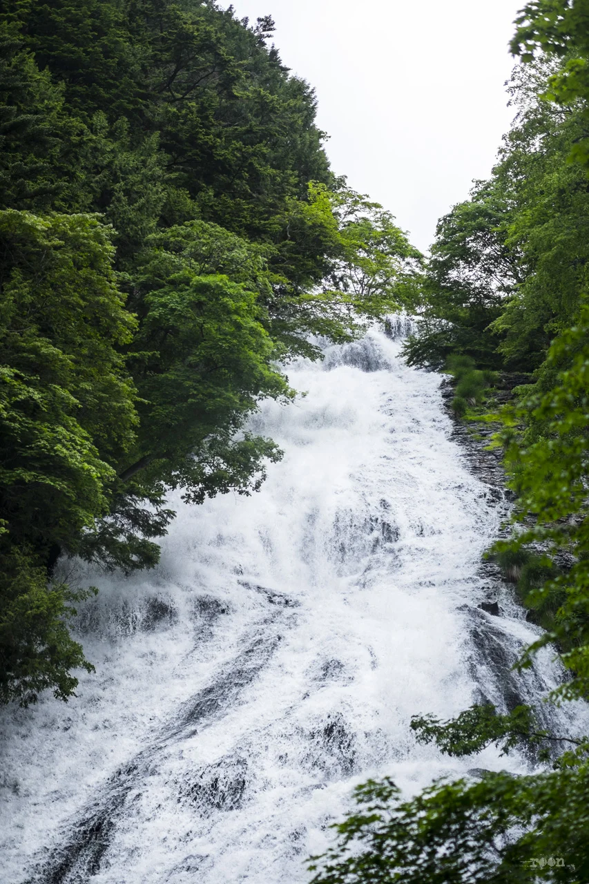 DSCF7338.jpg