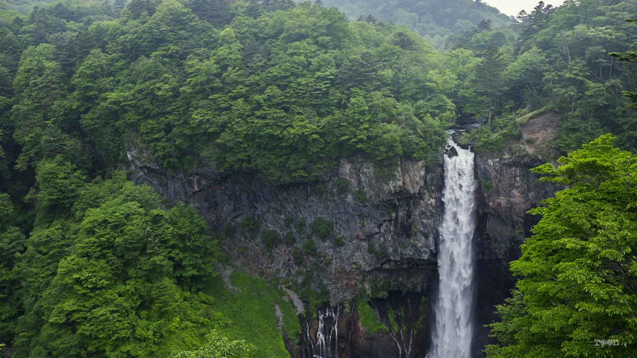 DSCF7531.jpg