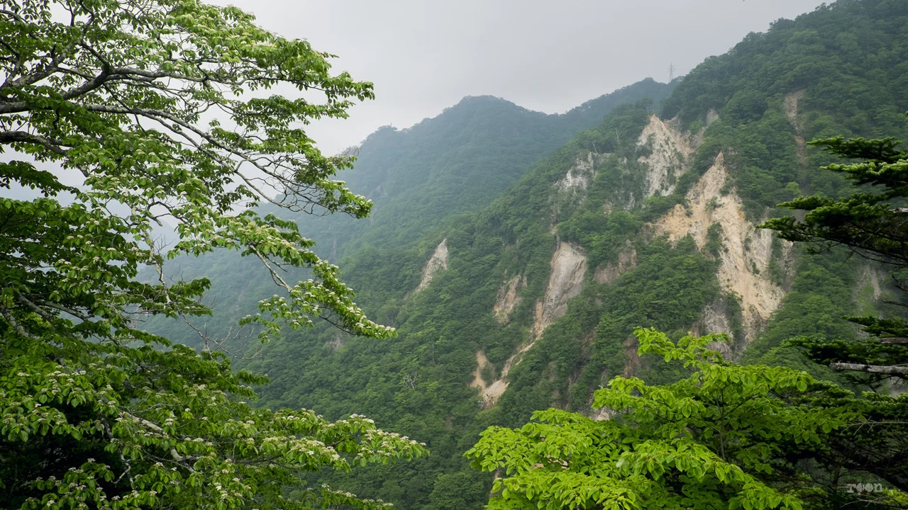 DSCF7540.jpg