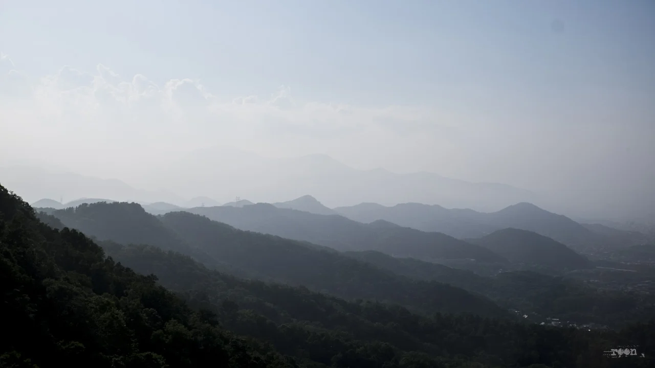 DSCF7697.jpg