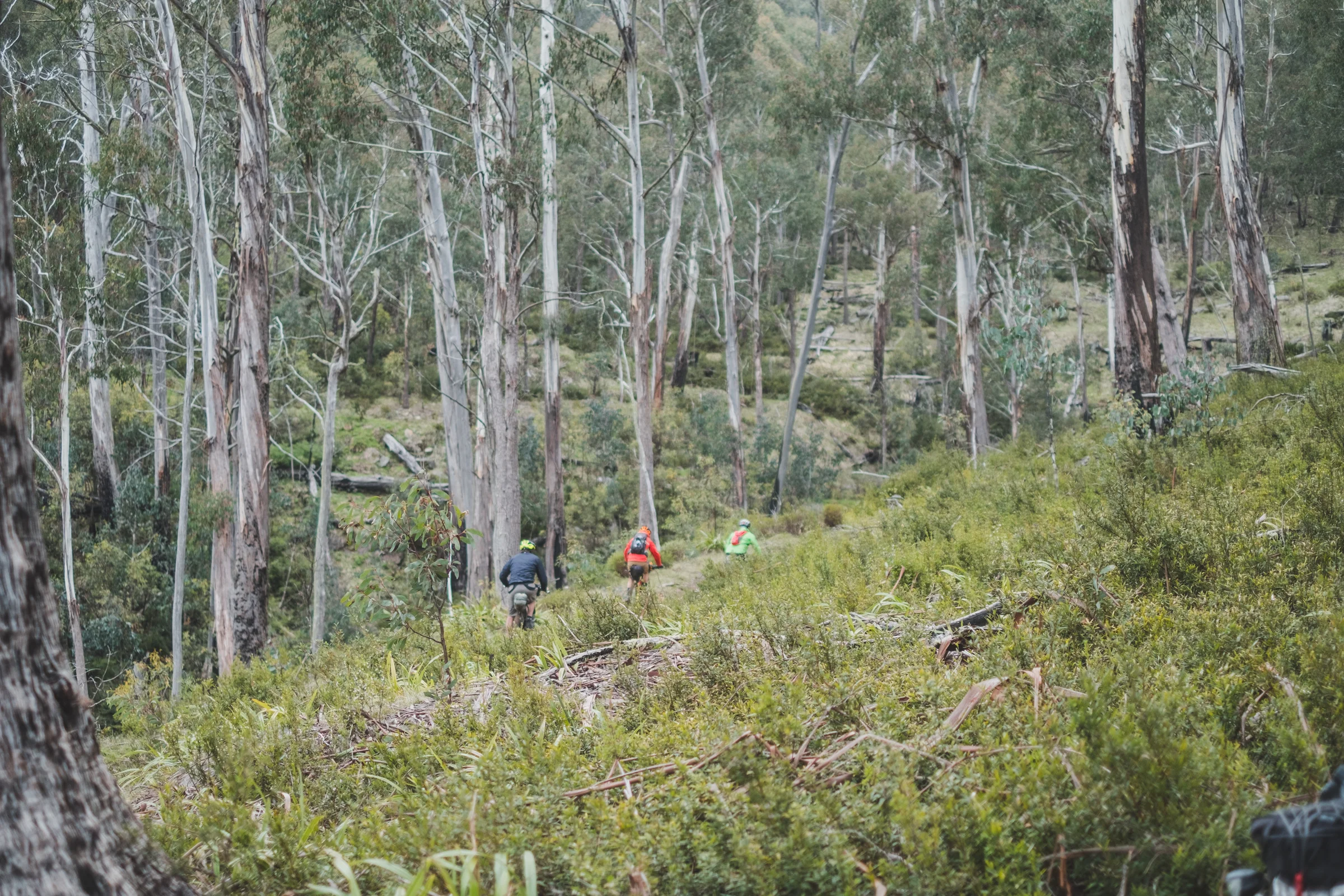 DSCF8558.jpg