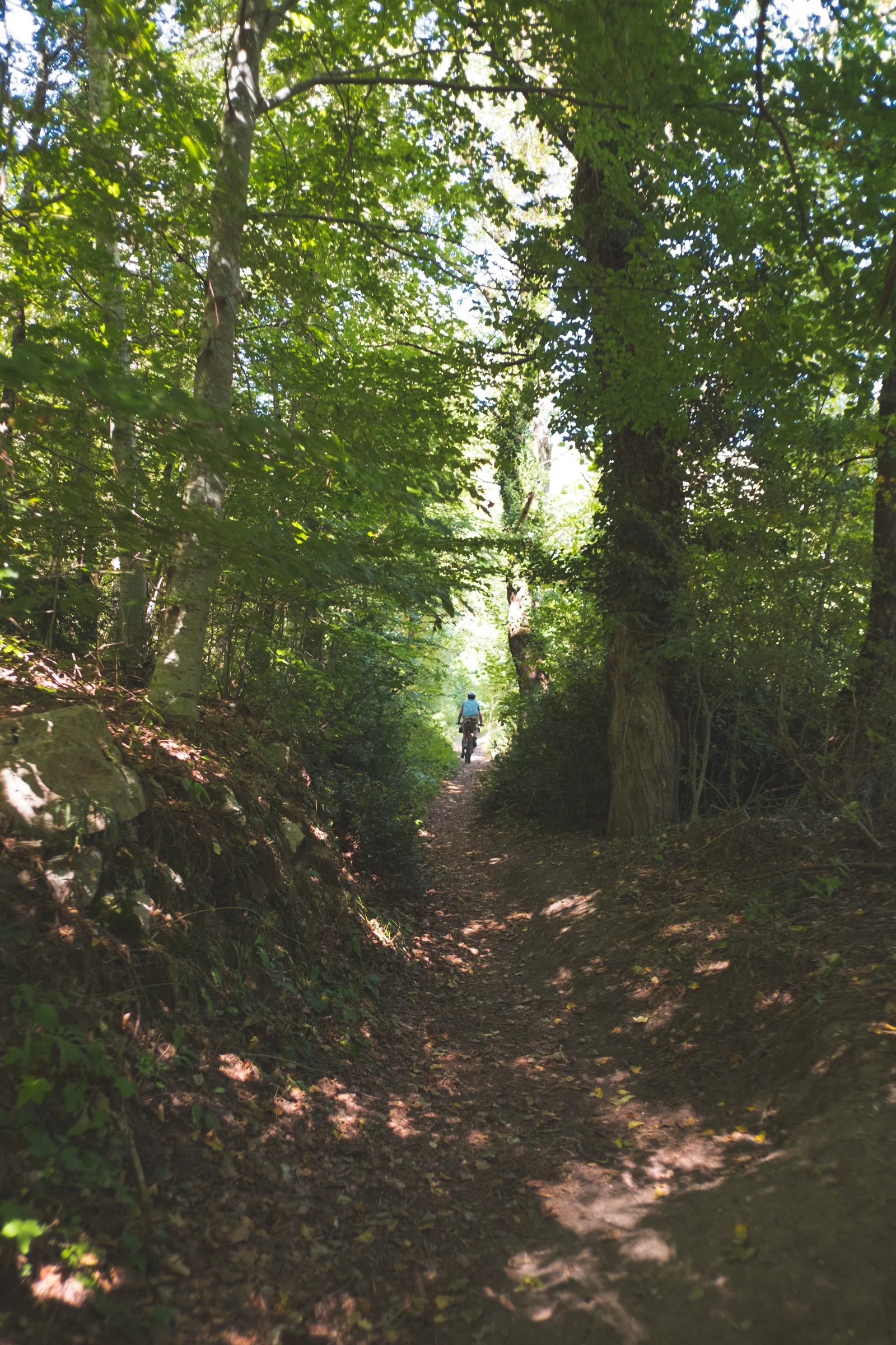 DSCF7776-22.jpg