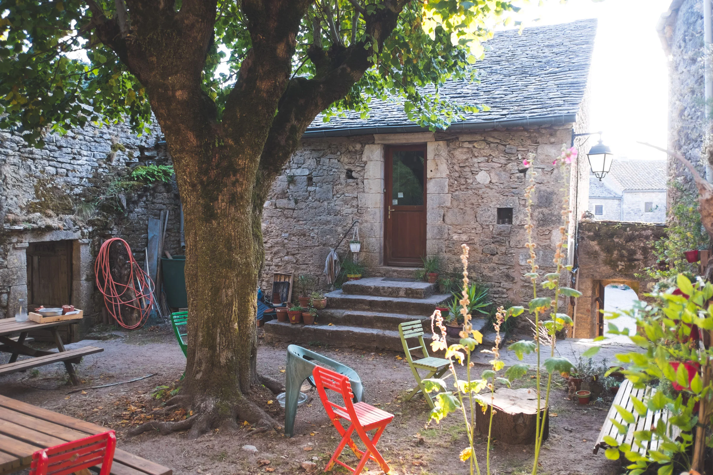 DSCF7916-5.jpg