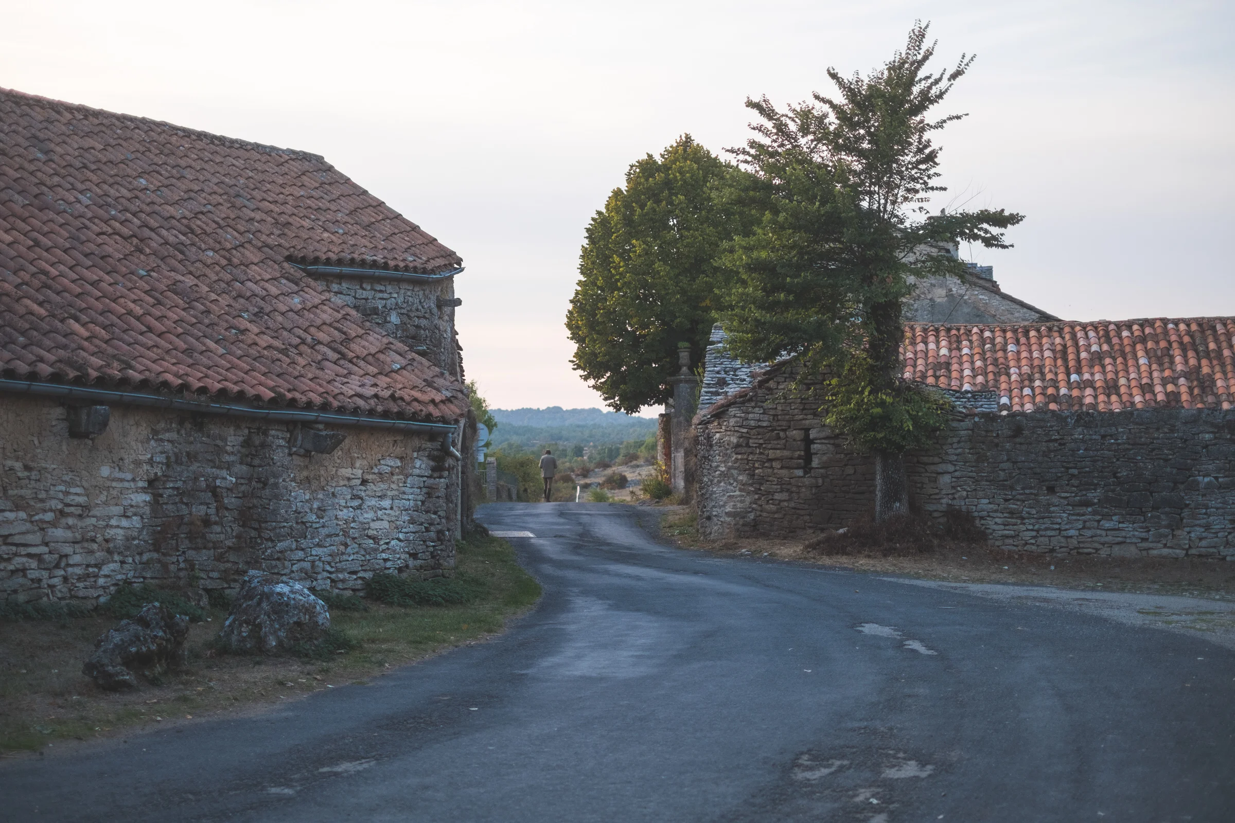 DSCF7924-9.jpg
