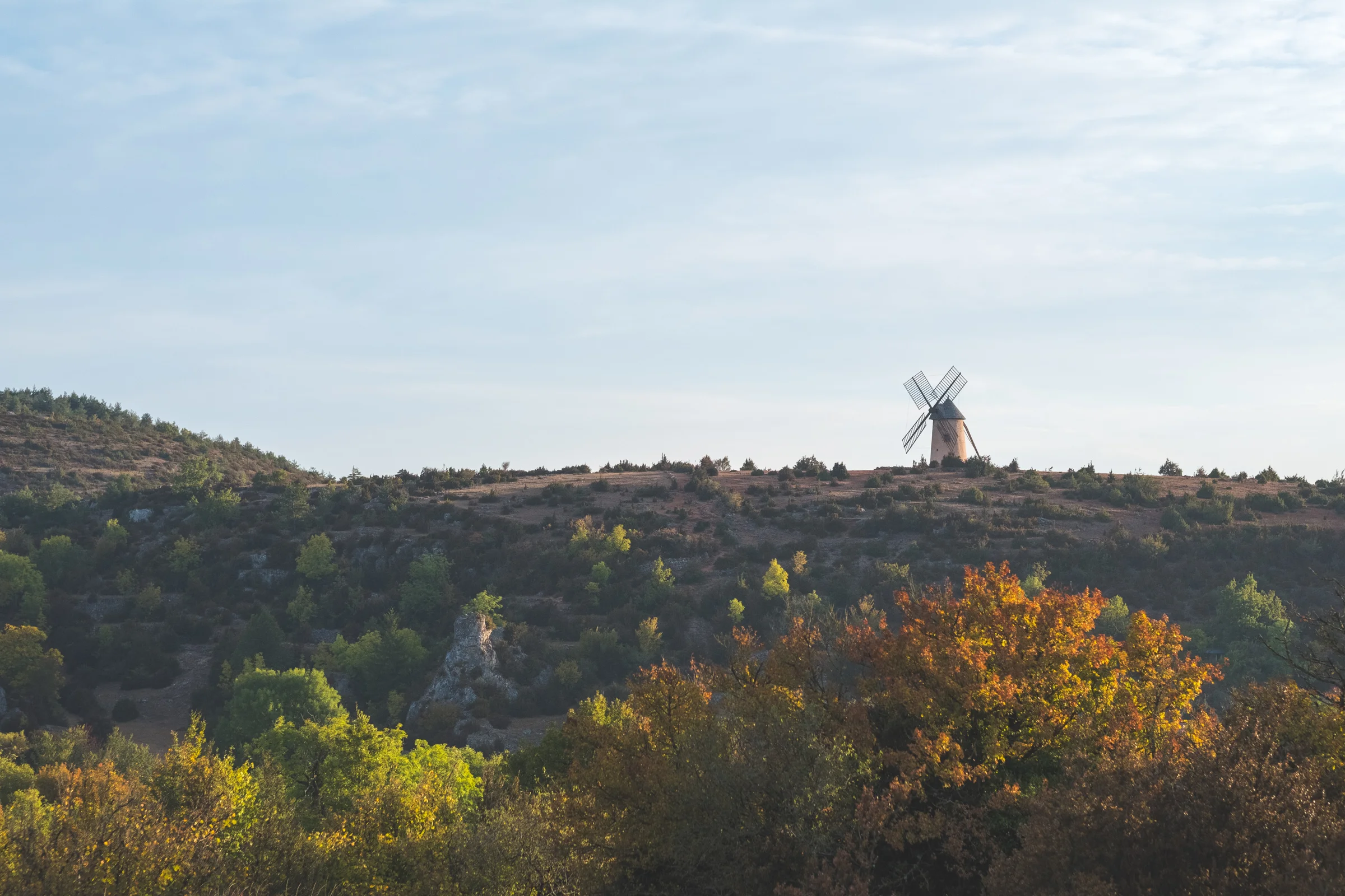 DSCF7943-2.jpg