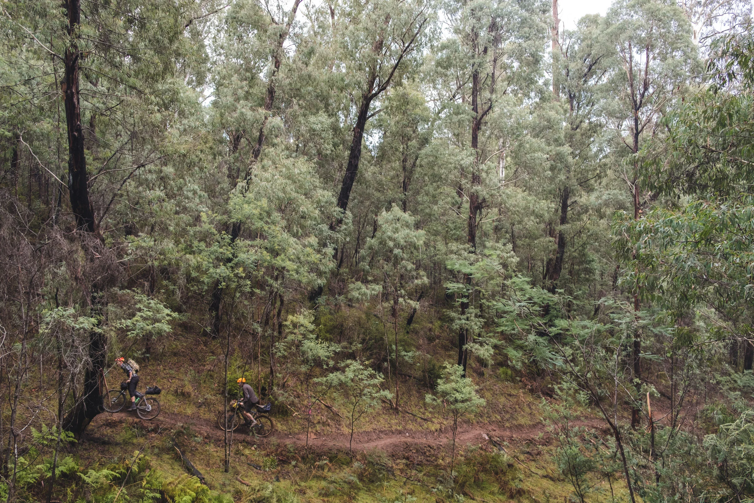 DSCF4052.jpg