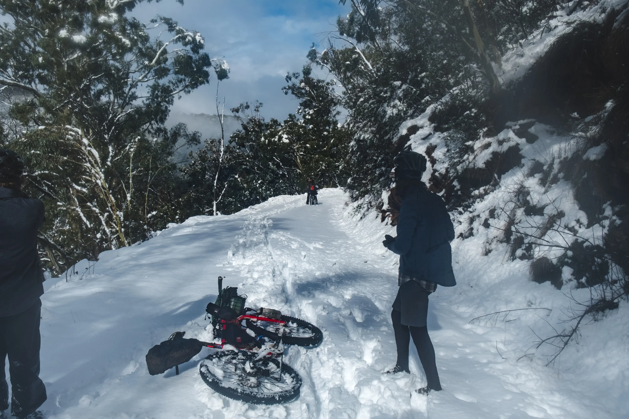DSCF4215.jpg