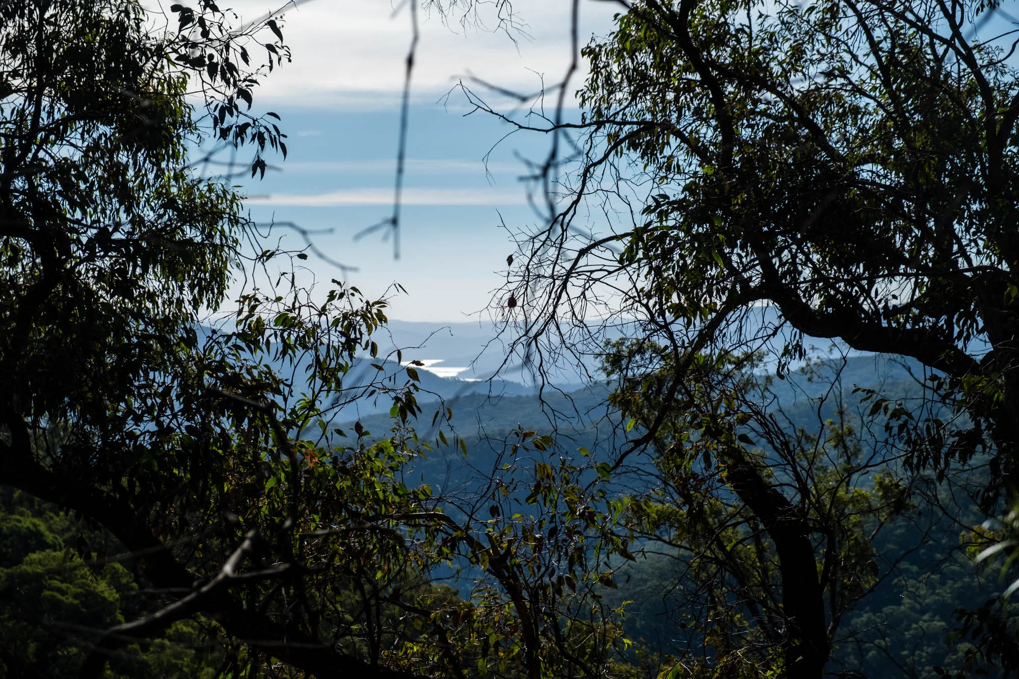 DSCF7219.jpg