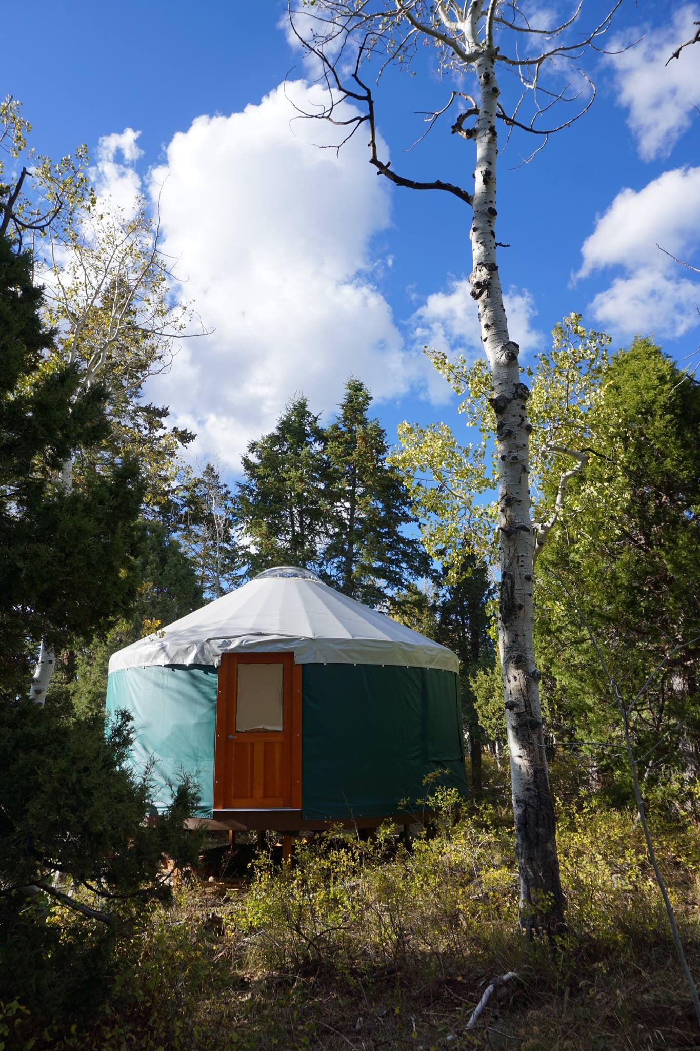Yurt without stairs.jpg
