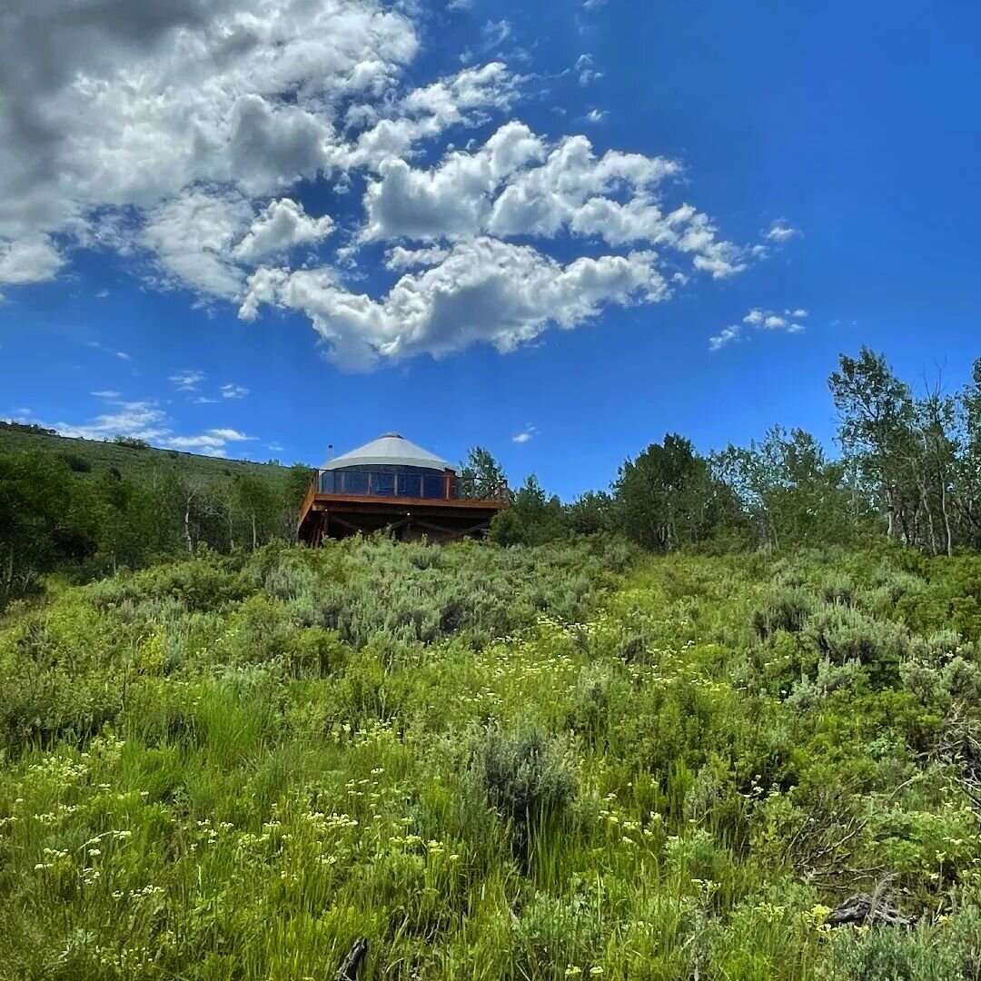 I spy peace, quiet, nature, amazing views, superb stargazing, and overall tranquility. 

@montecristoyurt 
#nature #stargazing #peace #backcountry #camping #yurtcamping #viewsfordays #soundsofnature #wildflowers #yurt #montecristo