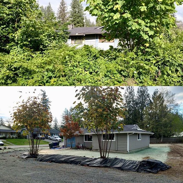 Feels great to see the #progress show through on another exciting #flip #beforeandafter #goldbarwa #yesitsthesamehouse .
.
.
.
.
#majorchange #smalltown #cornerlot #flippinghouses #dramatic #samehouse #payoff #greatrewards #hardwork
