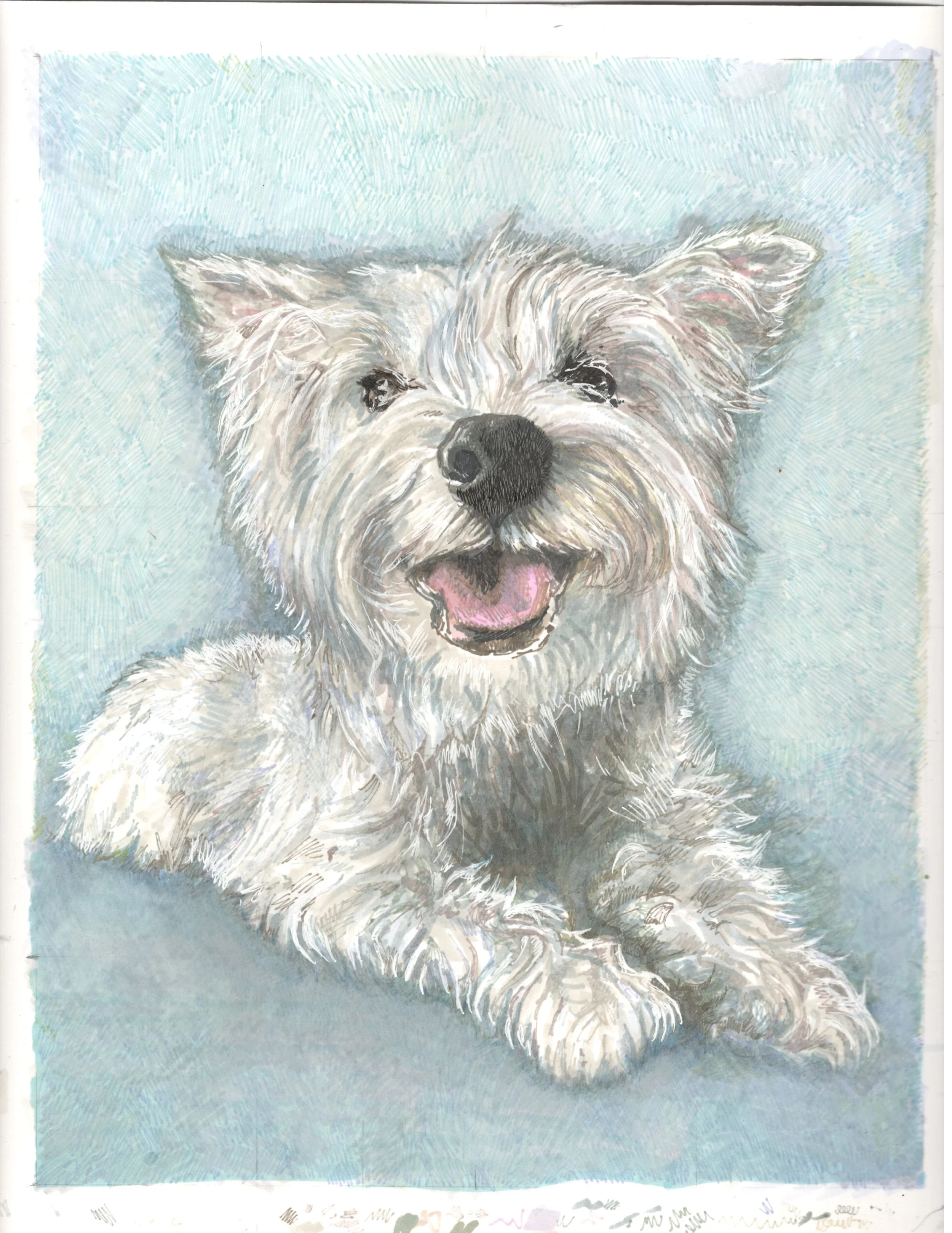 SavannahWestie.jpeg