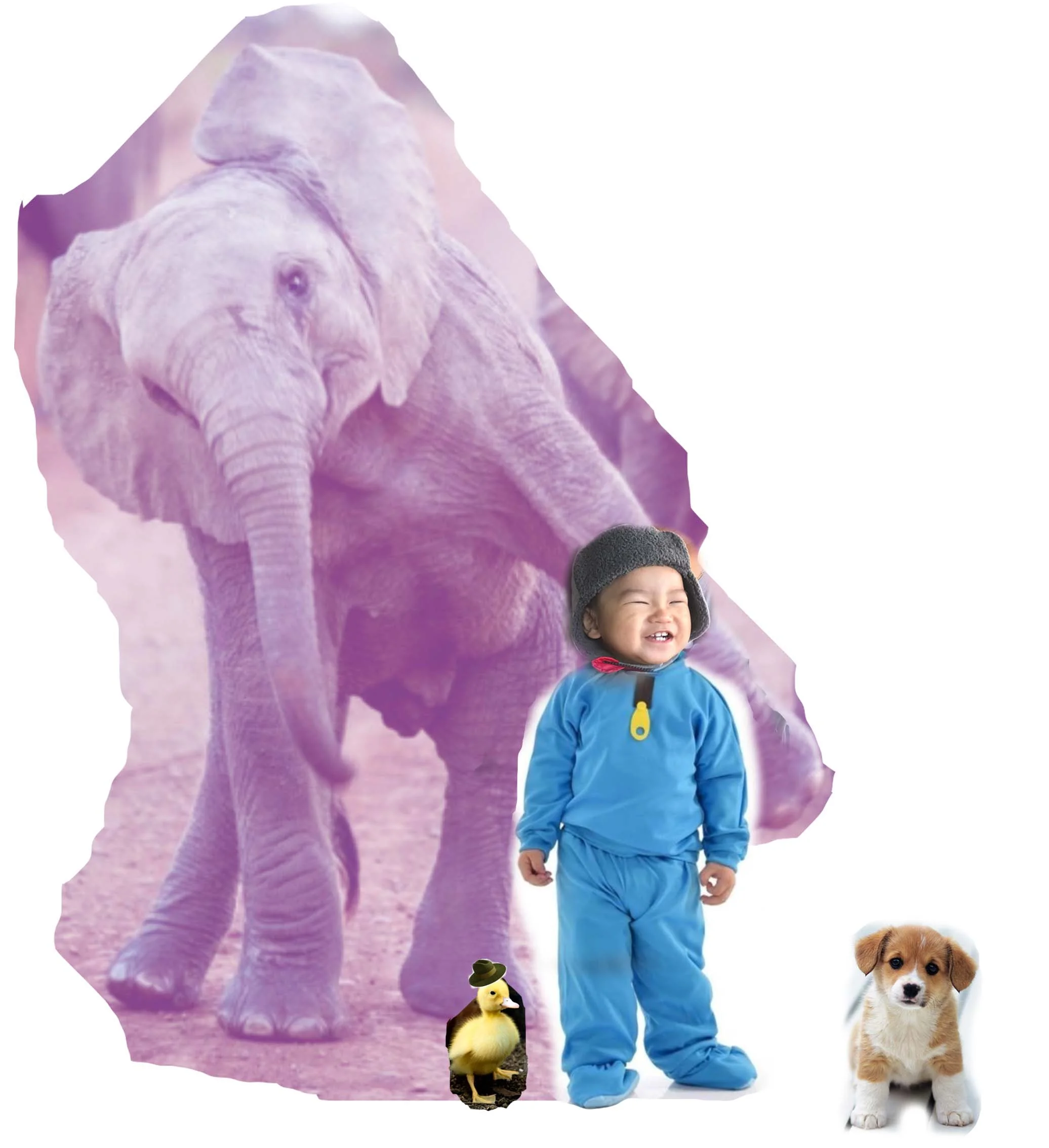 Brayden's Portrait.jpg