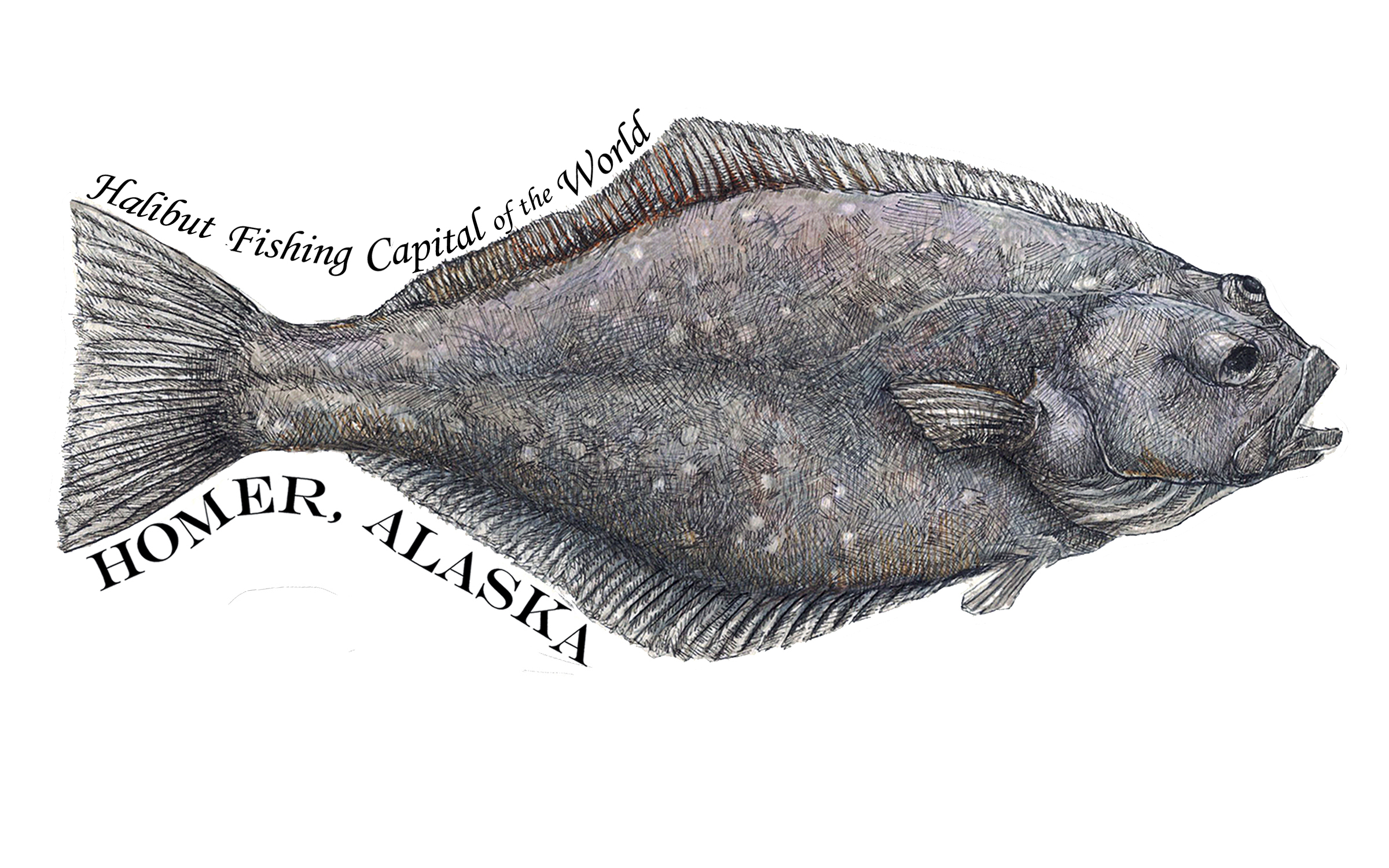 Halibut copy.jpg