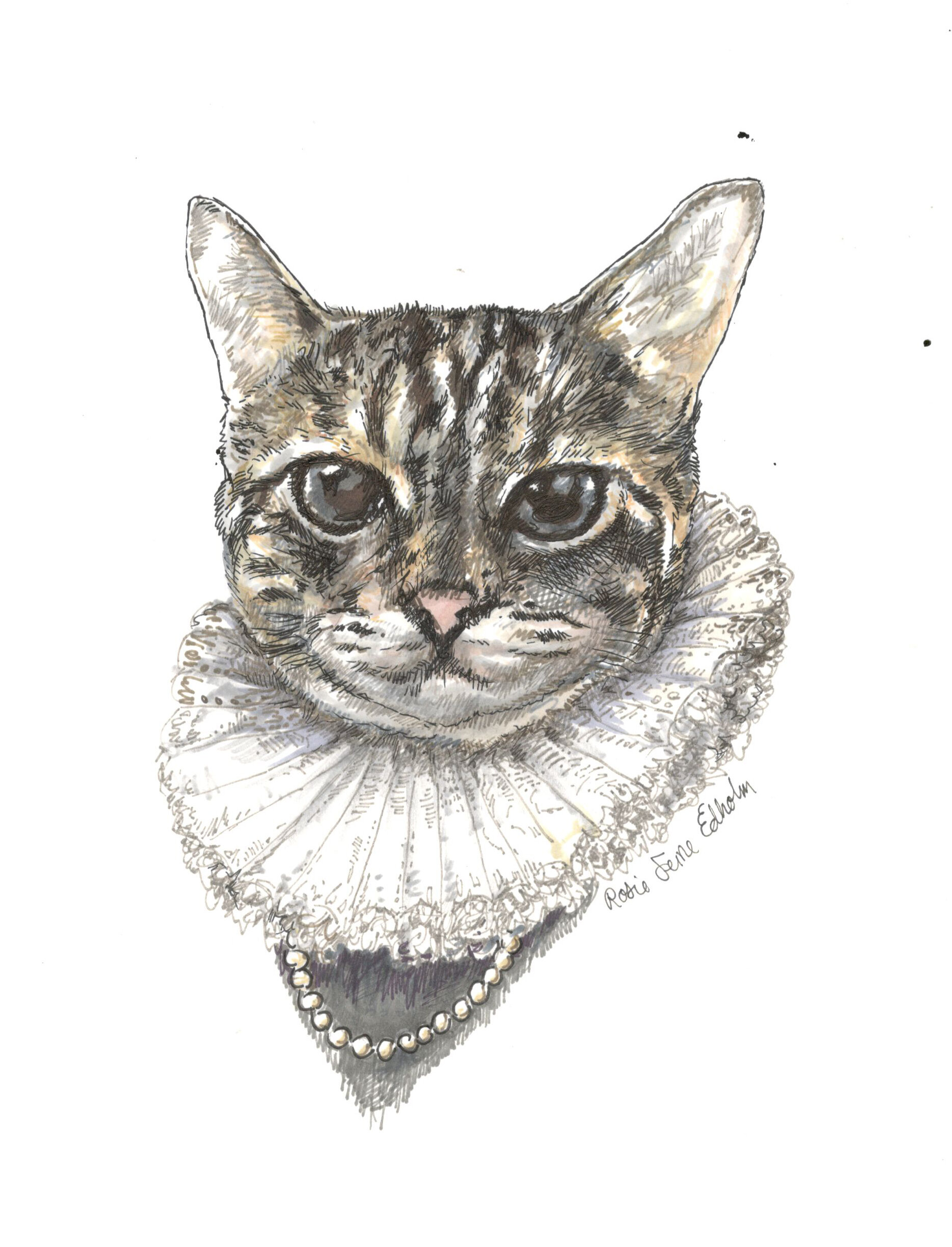 Melody_RuffleCat.jpeg
