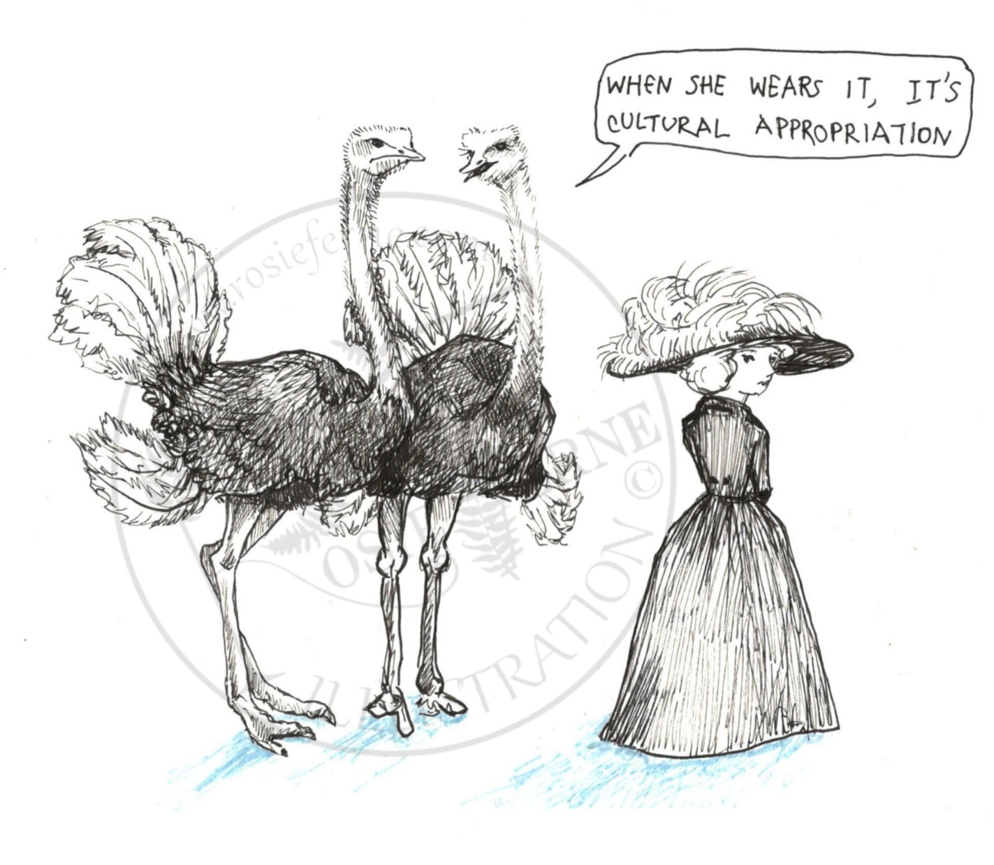 Ostrich Cultural Appropiation