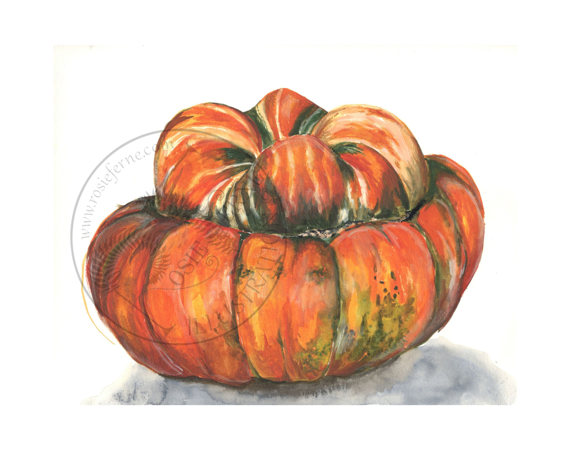 Turban Squash