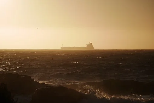 export.jpg