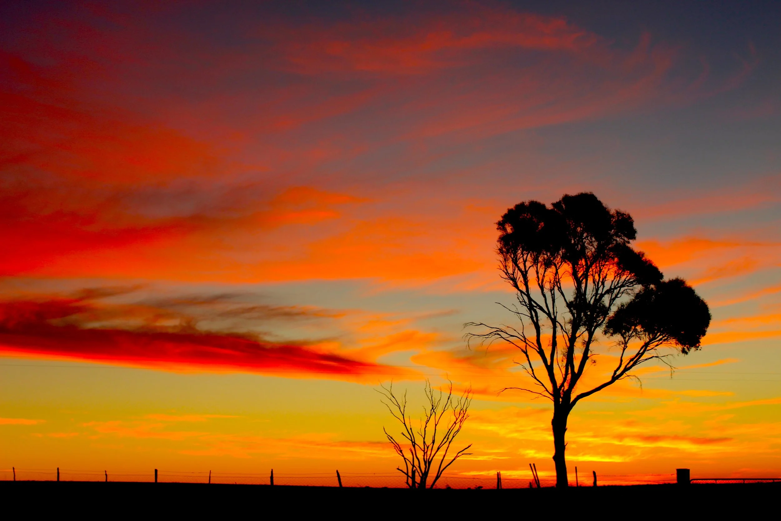 Sunset by Nicole Jacobs