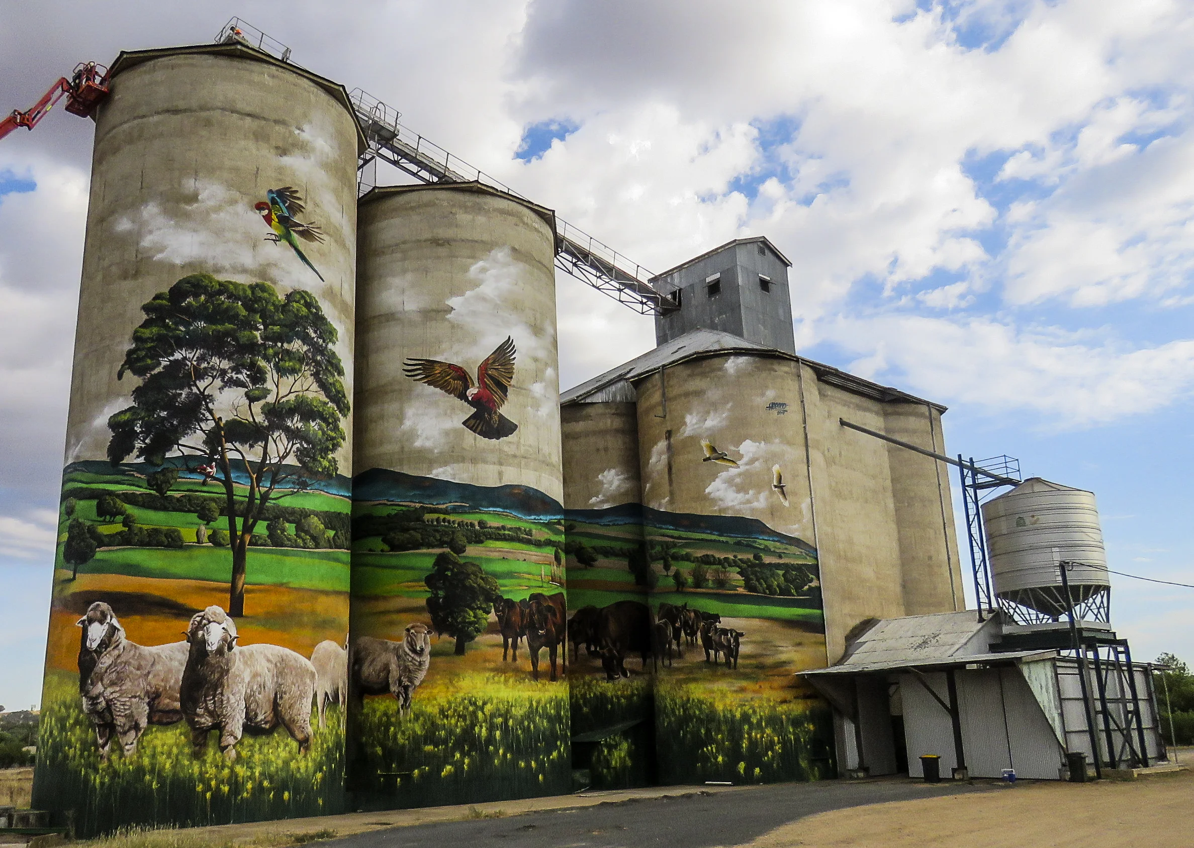 Week 5 Completed Silos.jpg