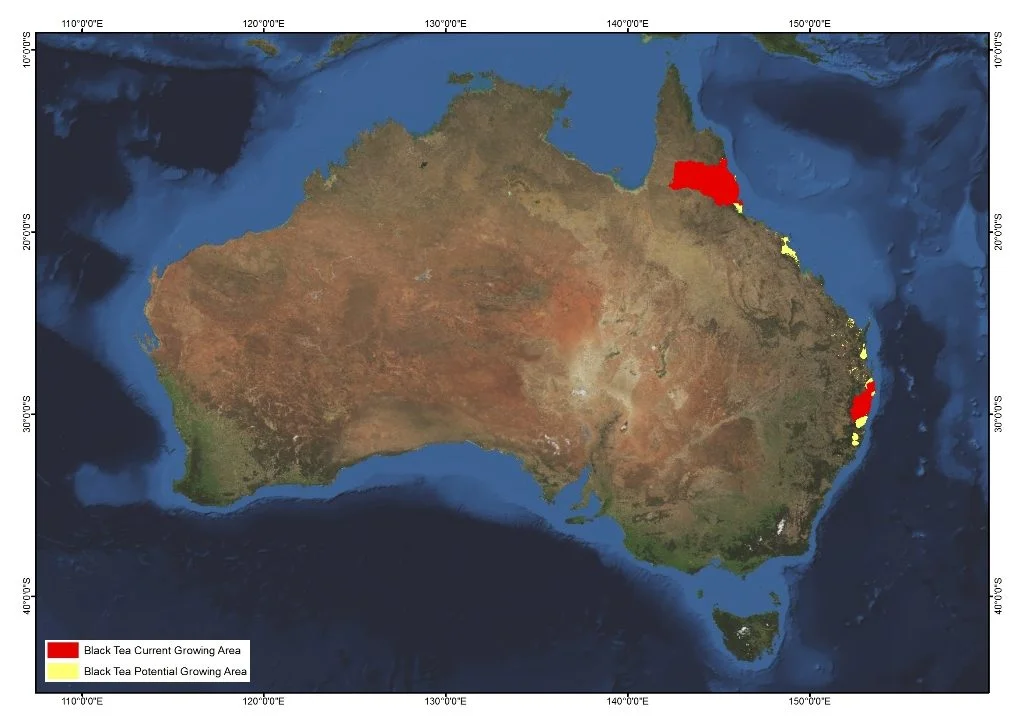 Map of current and potential growing regions. (Source: AgriFutures Australia )