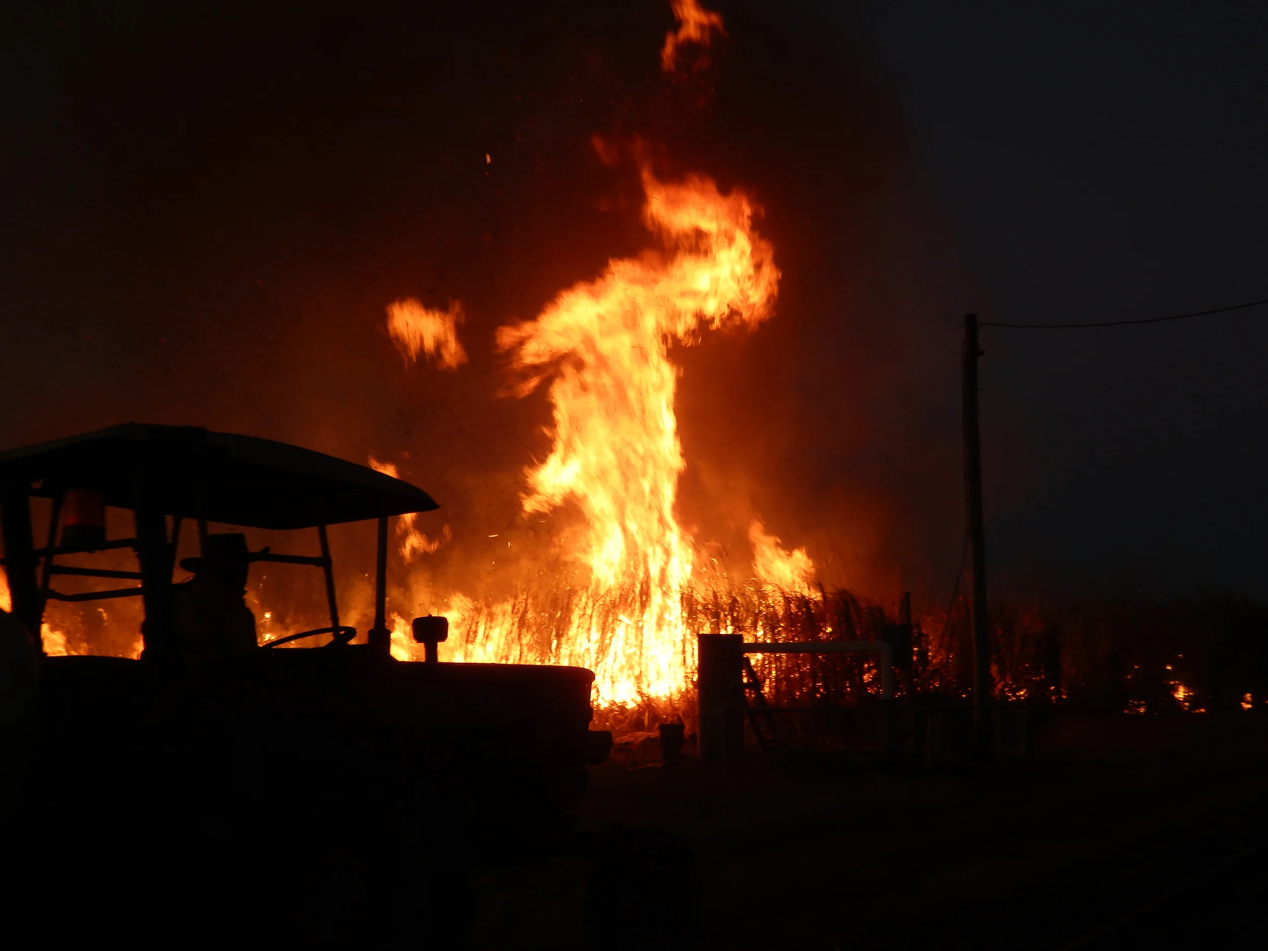 cane fire 2.jpg