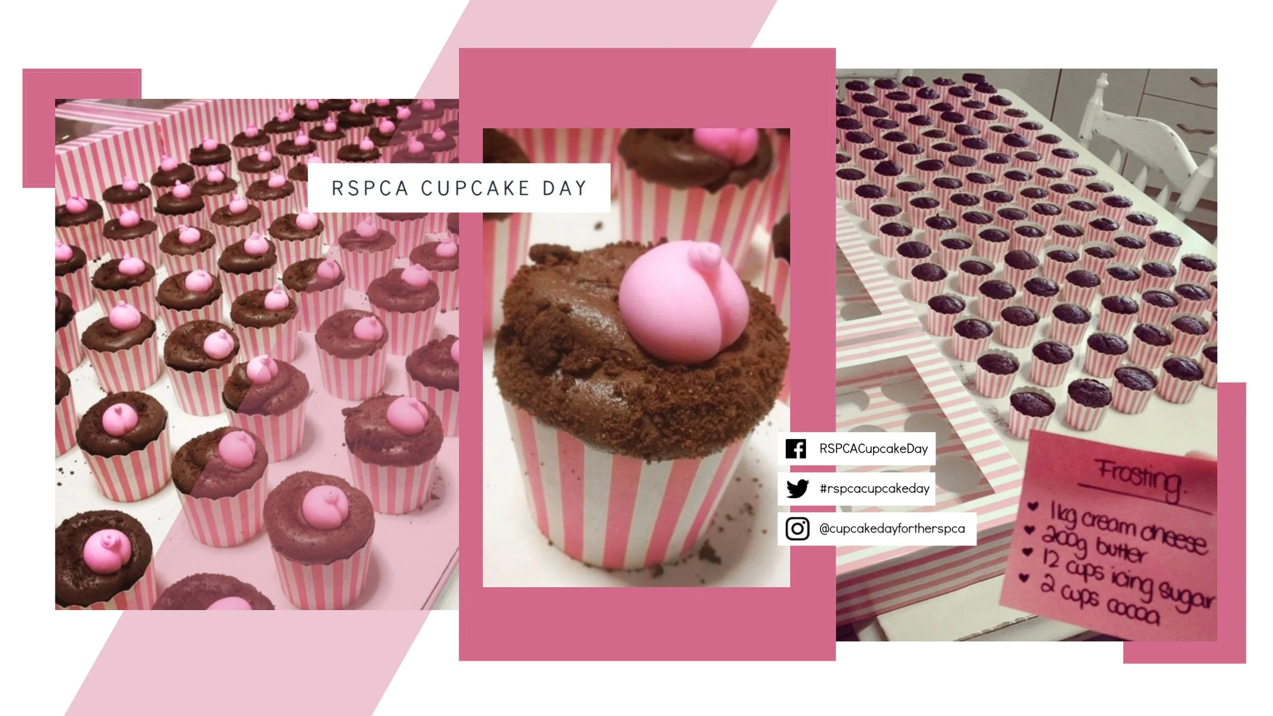Image above: Over 100 ‘cheeky’ animal-themed creations baked by Petula for RSPCA Cupcake Day!