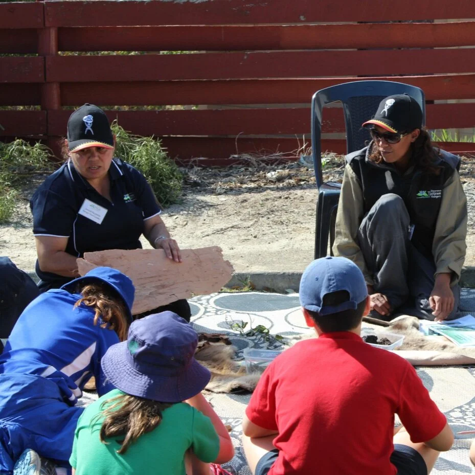 The Act-Belong-Commit Kaddatji Nyungar Boodja Plants and Culture sessions delivered to school groups.