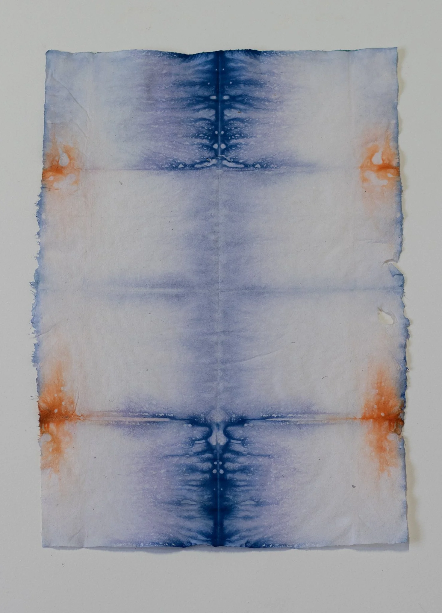 IMG_5262.jpg