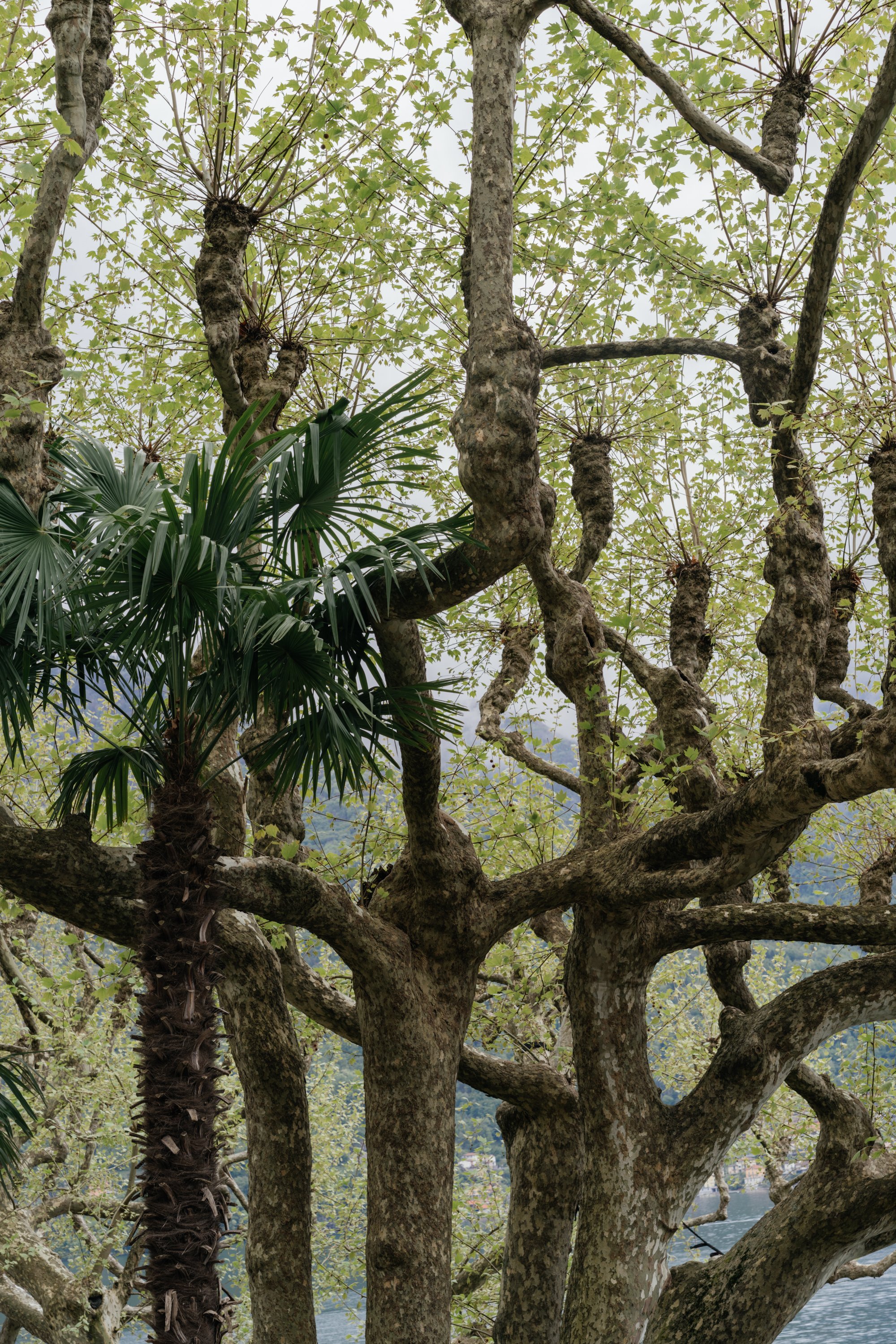 La Foce Wedding Photographer: Capturing Tuscan Elegance