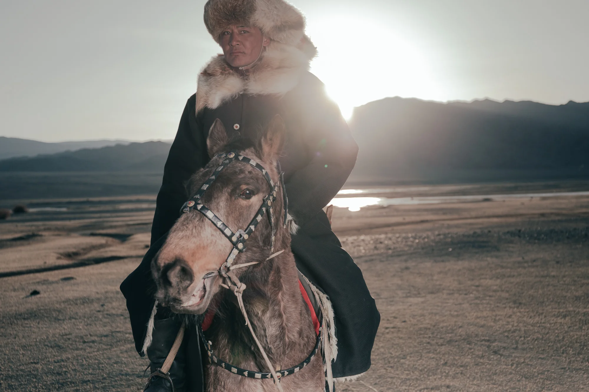 Kazakh_horse_sunset.jpg