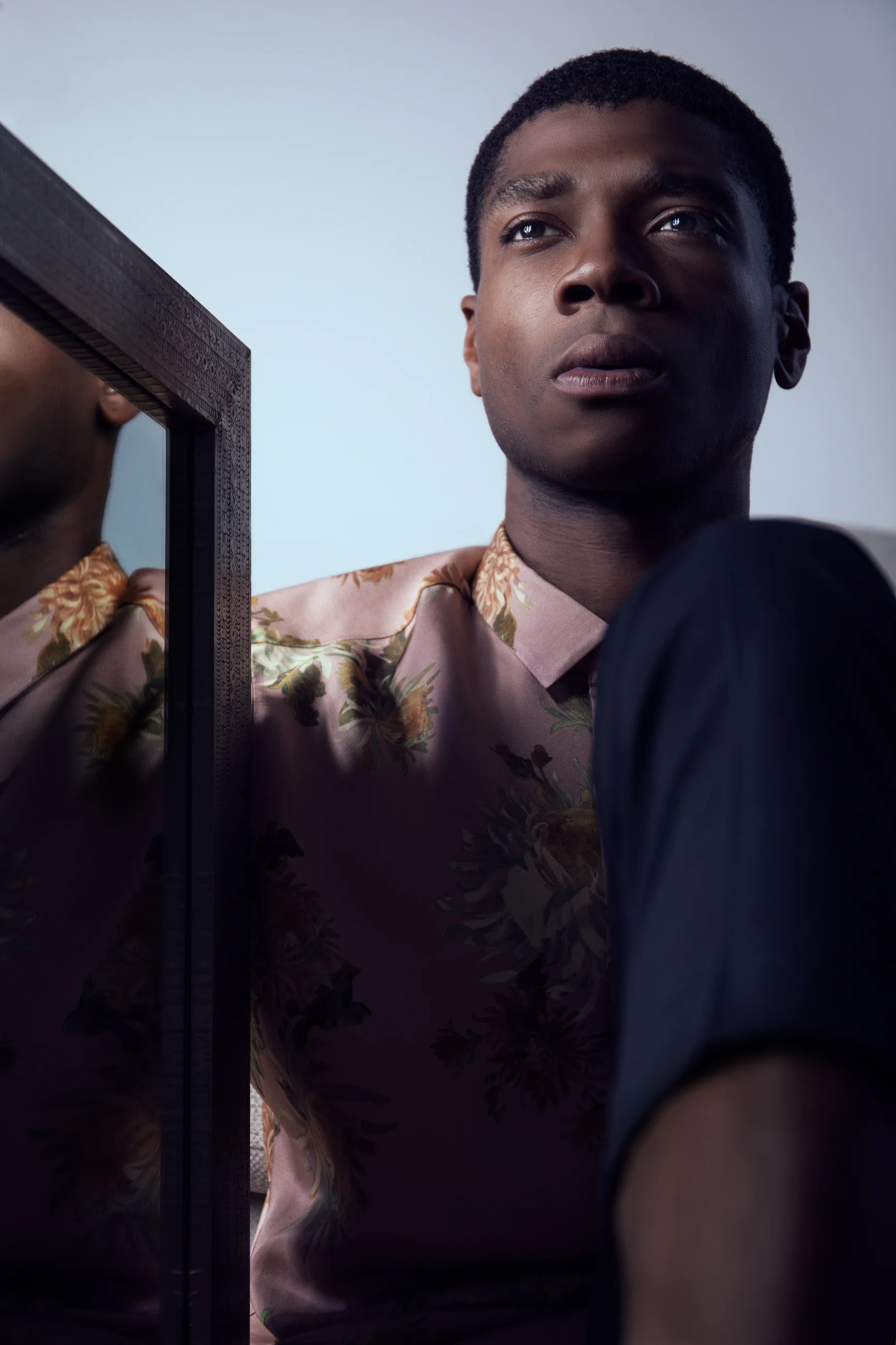 Devon_mirror.jpg