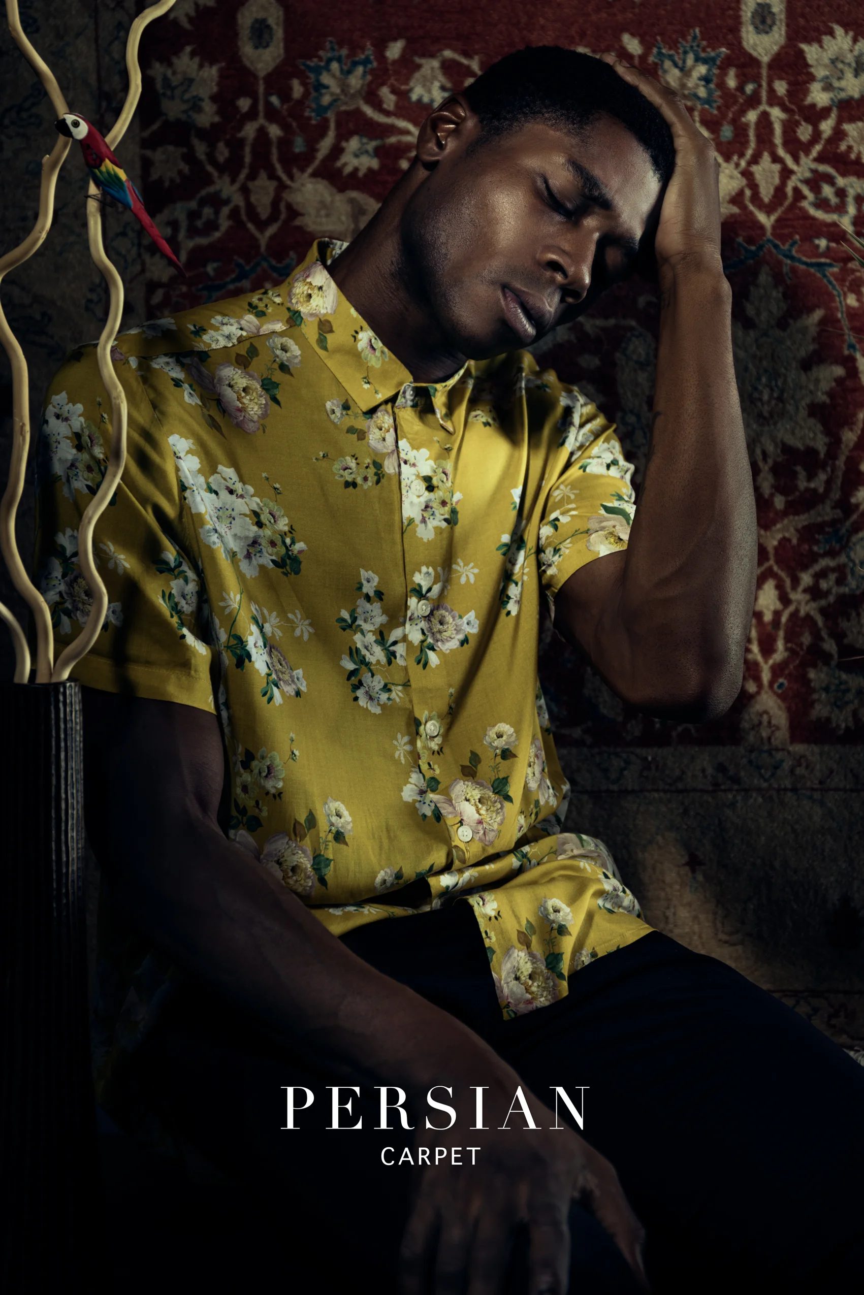 Devon_yellowshirt_carpetBG.jpg