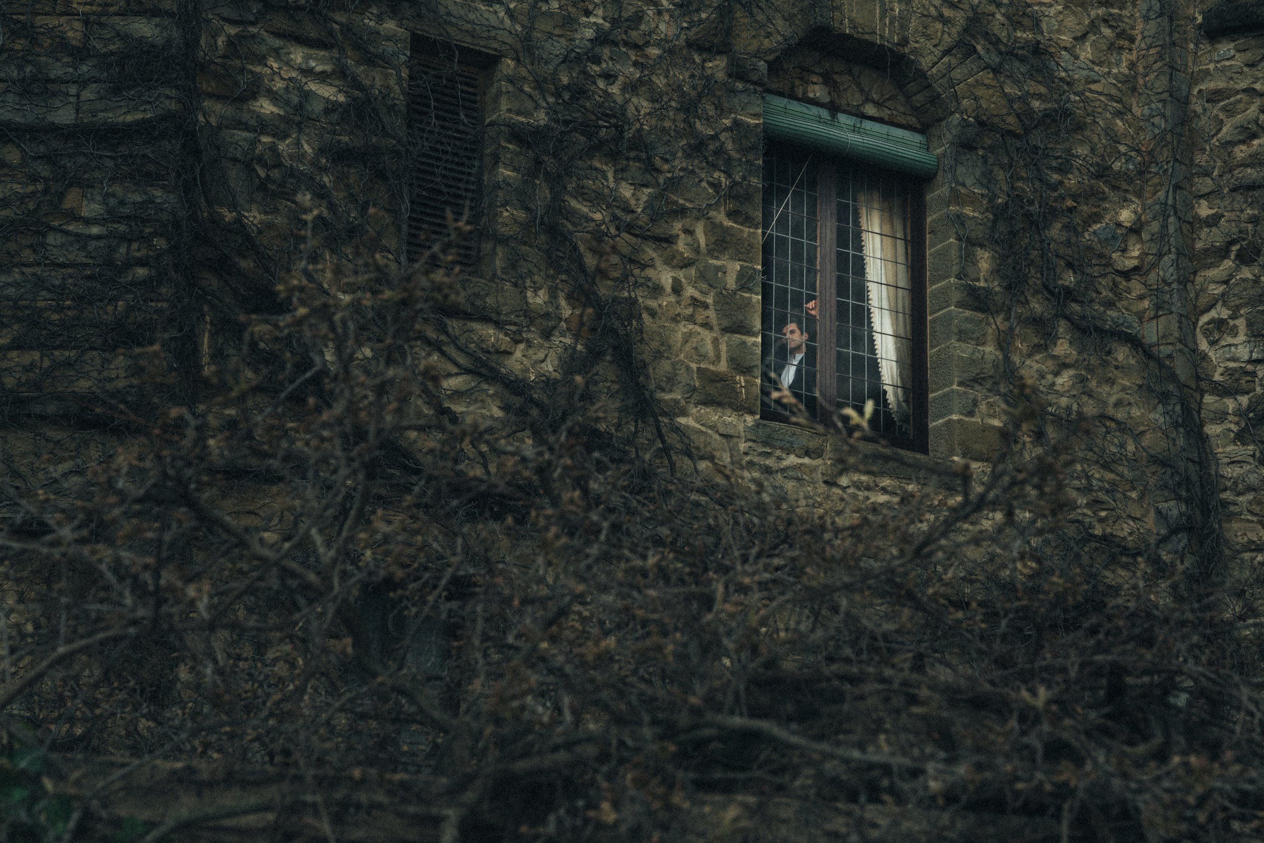 Person looking out of a window in a stone building with vines.