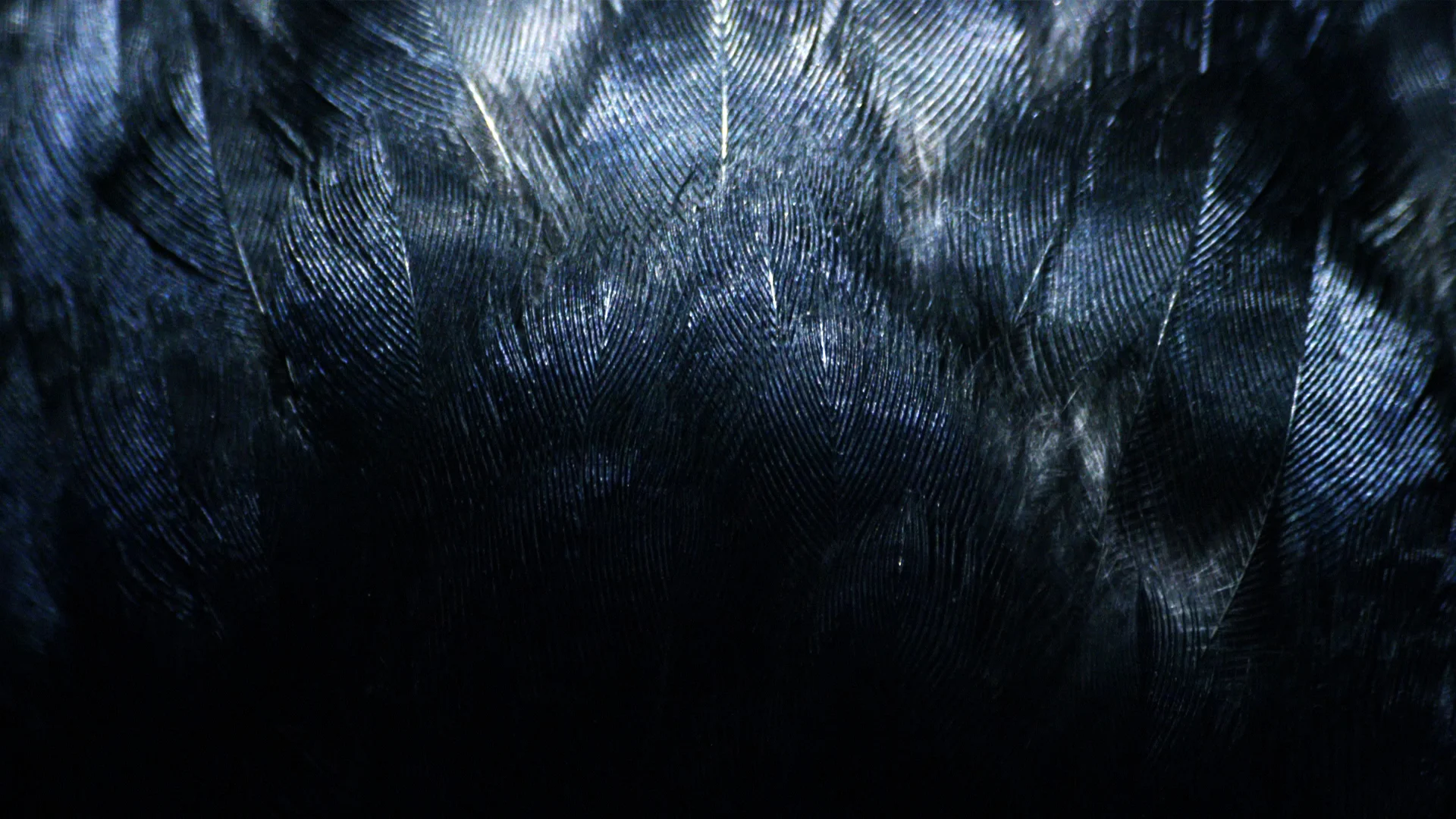 JamesBlake_INeedAForestFire_001.jpg