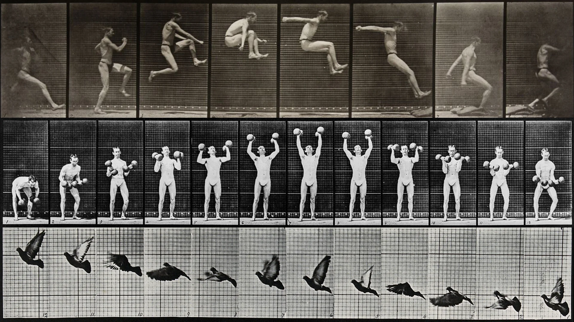 James Medcraft OCTAVE Eadweard Muybridge.jpg