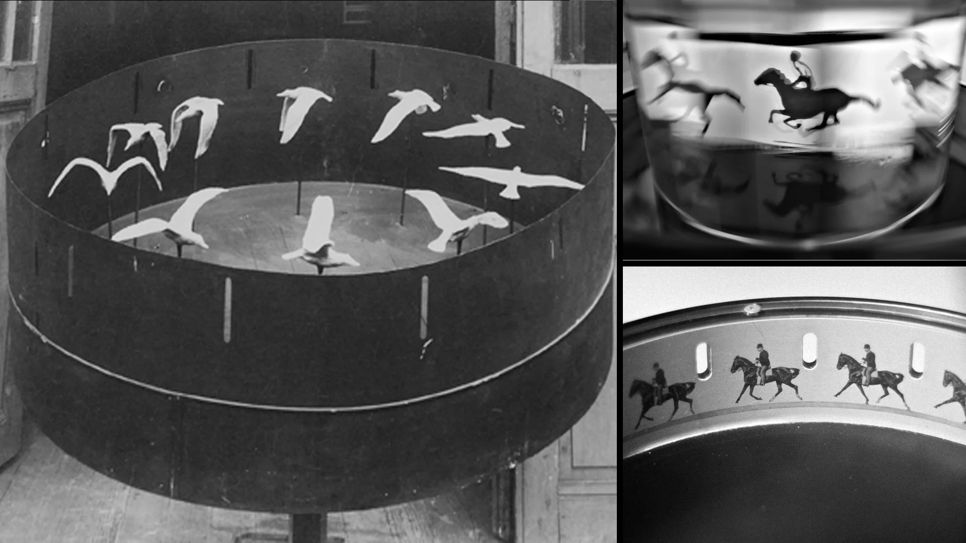 James Medcraft OCTAVE Eadweard Muybridge Zoetrope.jpg
