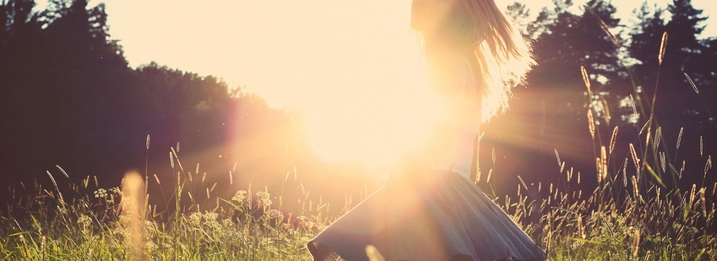 julia-caesar-15081-unsplash_CROP.jpg