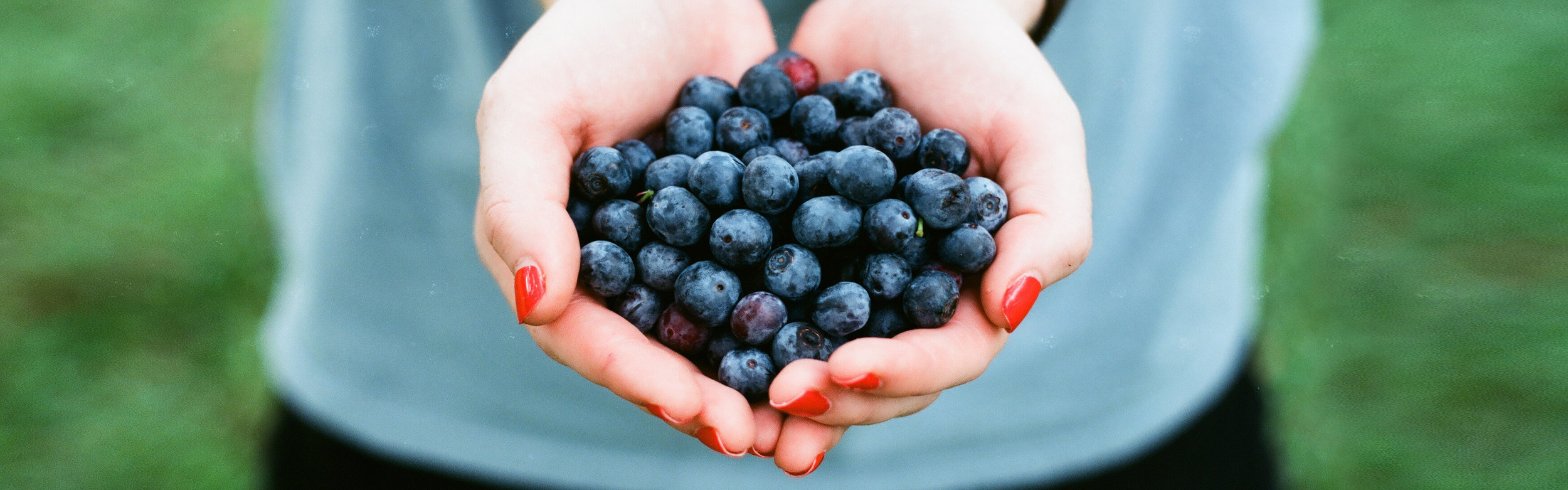 andrew-welch-116539-unsplash_CROP.jpg