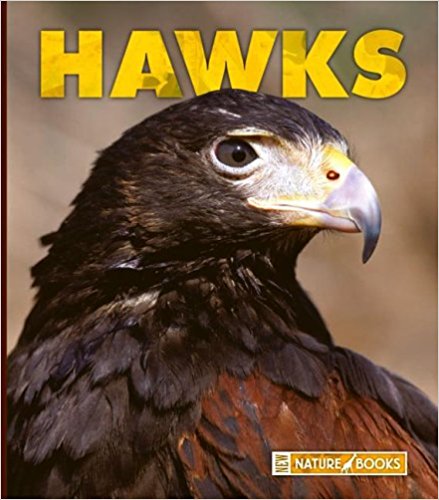 Hawks.jpg
