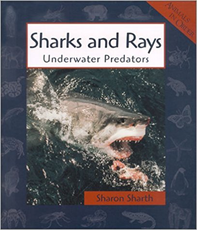 Sharks and Rays.jpg