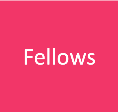 Individuals who are expert in a Mission related topic, Technology, Business or Creative Design. They support the Founders on the Zinc Programme by offering their expertise in the form of talks, workshops, office hours and/or access to research, users and partners. If you are interested in becoming a Fellow please register here .