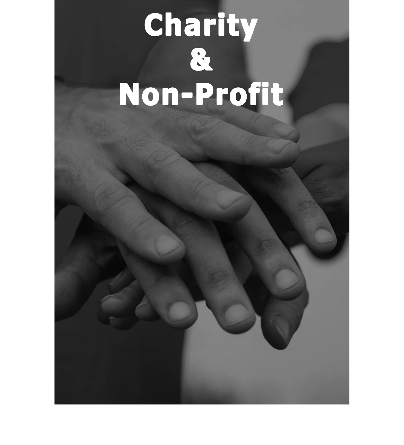 We work with a diverse range of charities and non-profits, including safeguarding and educational C.I.C’s, scientific research and cultural institutions and community social enterprises. Trustee Board Build – leading healthcare charity CEO - educational C.I.C Trustee – sanitation charity Trustee Board Build – autonomous social enterprise Director of Commercial Development – social care foundation
